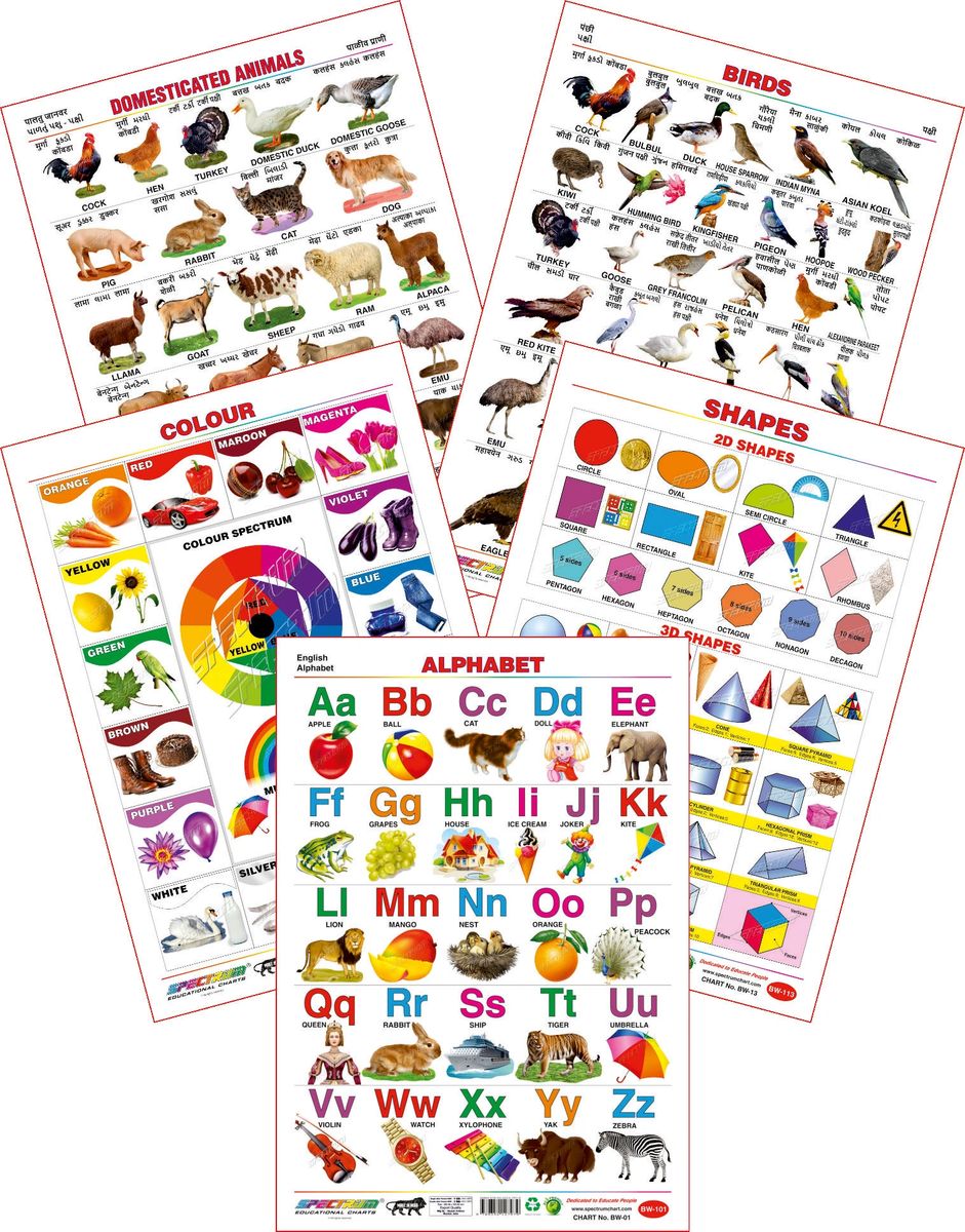 Spectrum Educational Large Wall Charts Set Of 5 English Alphabets